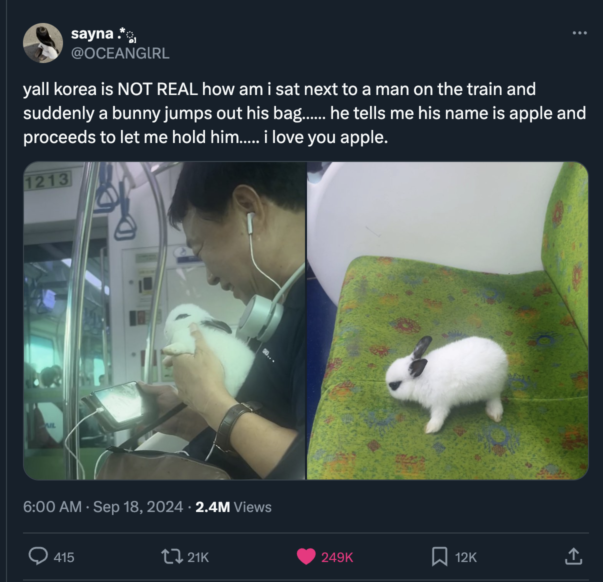 domestic rabbit - sayna. yall korea is Not Real how am i sat next to a man on the train and suddenly a bunny jumps out his bag...... he tells me his name is apple and proceeds to let me hold him...... i love you apple. 1213 2.4M Views 415 t21K 12K